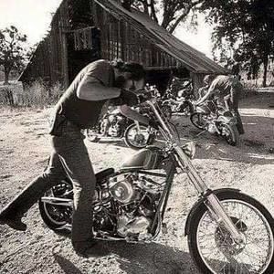 Meet your Posher, Phil